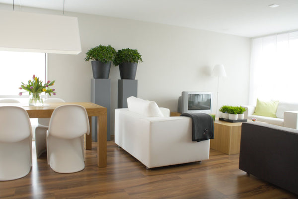 Wall and Desk Planters Vase - 3 Tips on How to Choose an Ideal Vase for Your Home Design