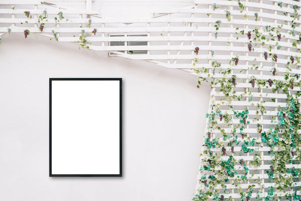 Photo Framing Options to Keep Your Memories Alive Forever