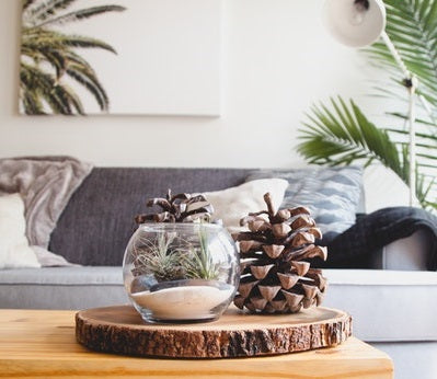 Modern Design Inspiration in Home Decorating