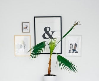 5 Essential Walls Decorative for Any Home