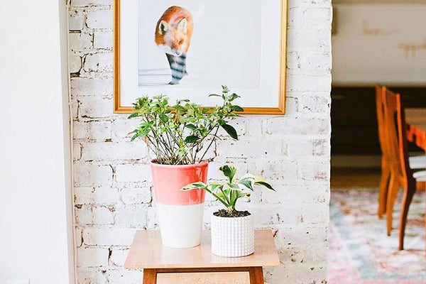 10 Secret Tips For Décor, Storage And Interior!
